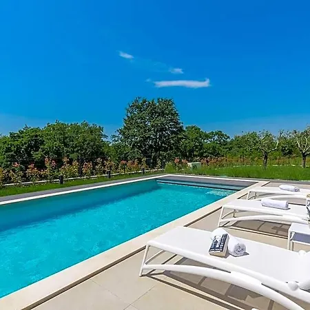 Colonia Comfortable Hotel 3*